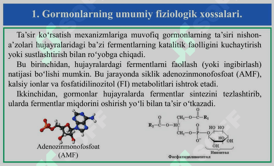 Endokrin tizimi fiziologiyasi  Эндокрин тизим физиологияси 8
