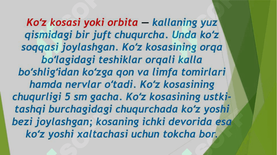 Orbita funksional anatomiyasi. O‘smalari. Kon’yunktiva, sklera va shox pardasi anatomiyasi va kasalliklari. 2
