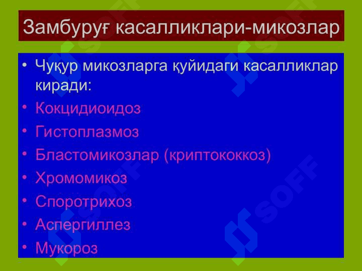 ТЕРИНИНГ ЗАМБУРУҒ КАСАЛЛИКЛАРИ-МИКОЗЛАР 6