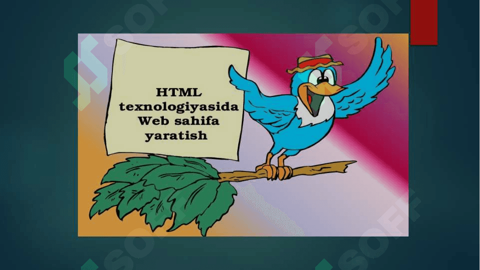 Web sahifa yaratish 2