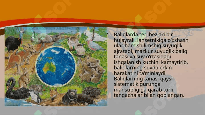 Hayvonlarning tana qoplami va harakat organlari evolutsiyasi 6