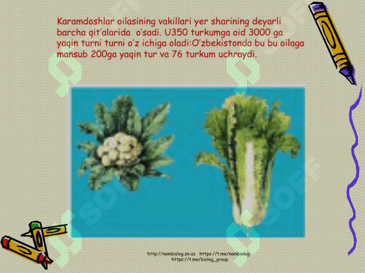 Karamdoshlar  oilasi 2
