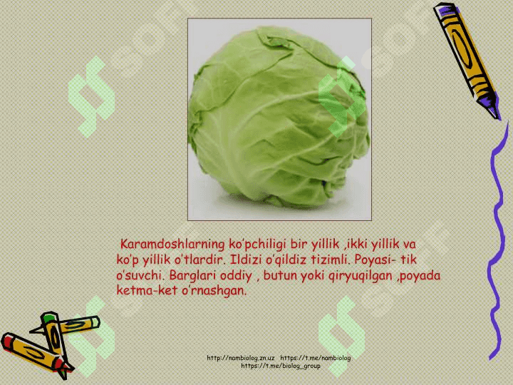 Karamdoshlar  oilasi 3
