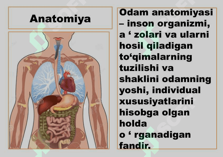 8- sinf Odam va uning salomatligi 6
