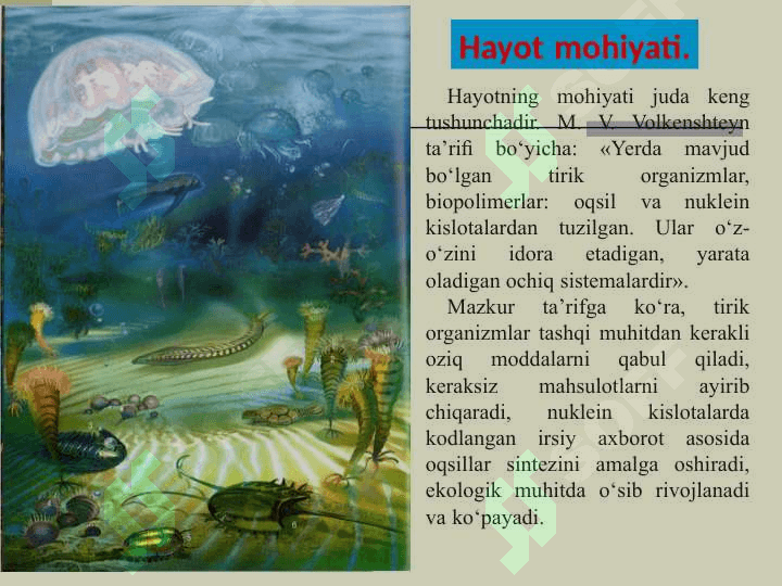HAYOT MOHIYATI VA TIRIKLIKNING XUSUSIYATLARI 3