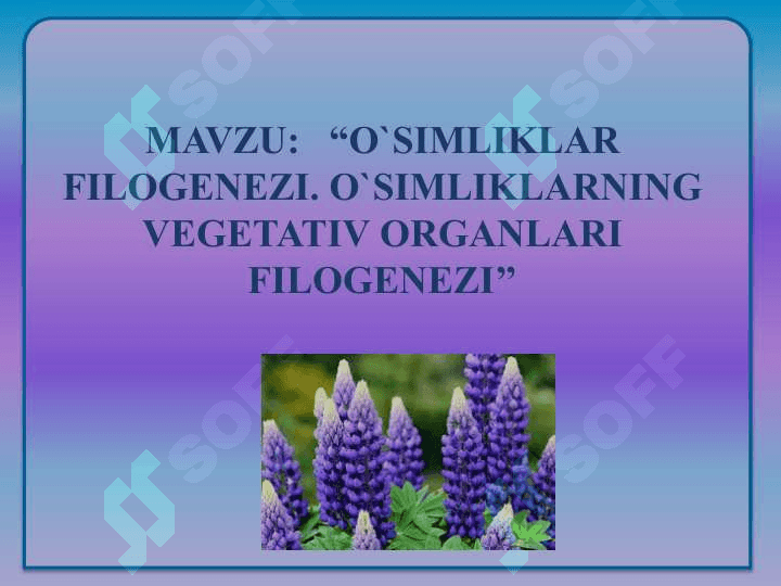 “O`SIMLIKLAR FILOGENEZI. O`SIMLIKLARNING VEGETATIV ORGANLARI FILOGENEZI’’ 2