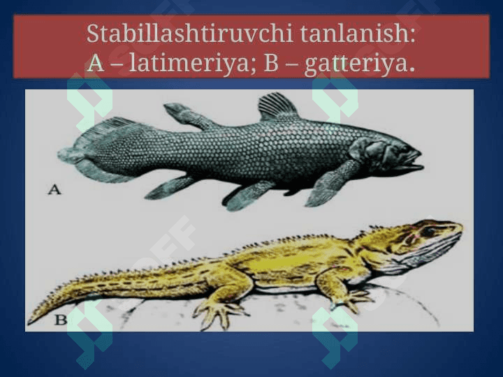 TABIIY TANLANISH VA UNING TURLARI 6