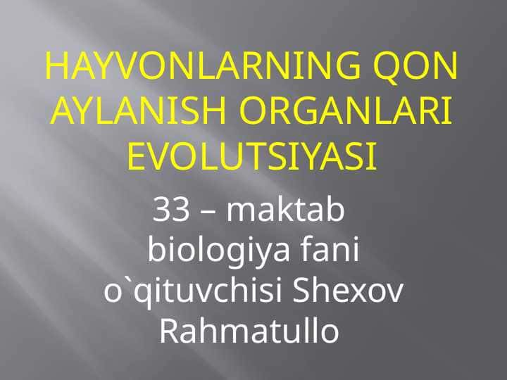Hayvonlarning qon aylanish evolyutsiyasi
