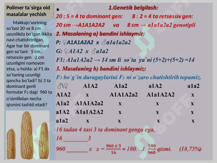 “GENLARNING    O`ZARO    POLIMER    TA`SIRLANISHIGA    OID   MASALALAR YSHISH” MAVZUSIDA    TAYYORLAGAN 3