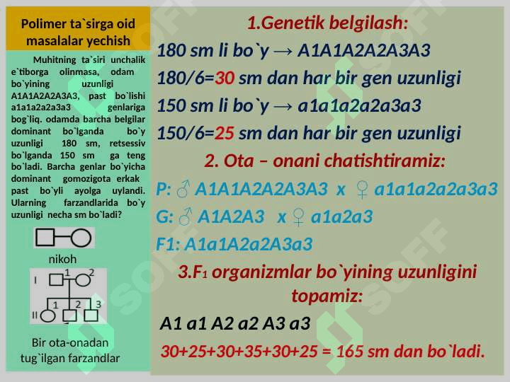 “GENLARNING    O`ZARO    POLIMER    TA`SIRLANISHIGA    OID   MASALALAR YSHISH” MAVZUSIDA    TAYYORLAGAN 4