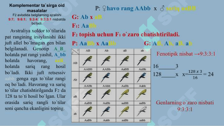 Noallel genlarning o`zaro ta`siri 2