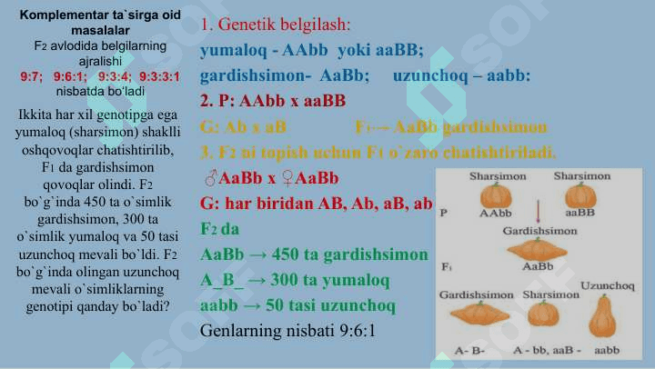 Noallel genlarning o`zaro ta`siri 3