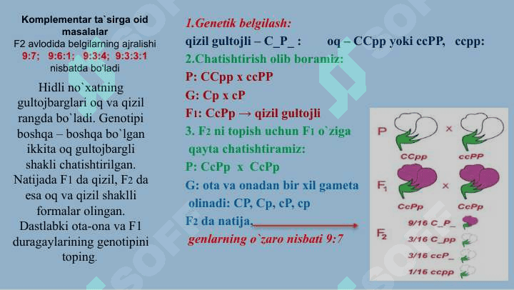 Noallel genlarning o`zaro ta`siri 4