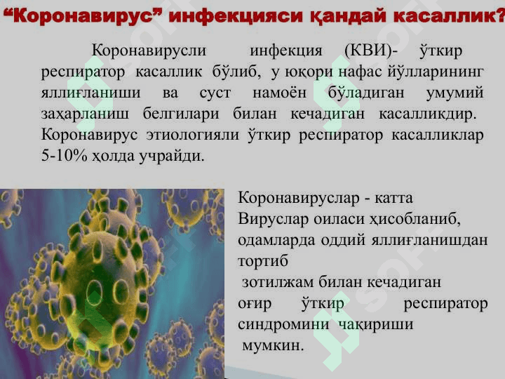 coronavirus 2