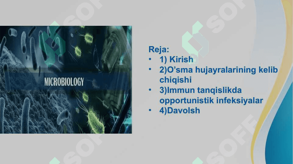 Immunopatologiya o’sma hujayralarining kelib chiqishidagi ahamiyati. Immun tanqisliklarda opportunistik infeksiyalar boshqarilishining molekulyar mexanizmi 2