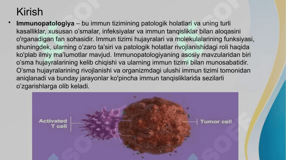 Immunopatologiya o’sma hujayralarining kelib chiqishidagi ahamiyati. Immun tanqisliklarda opportunistik infeksiyalar boshqarilishining molekulyar mexanizmi 3