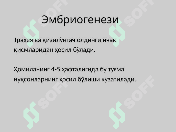 Bolalarda qizilo'ngach tug'ma nuqsonlari . Qizilo'ngachning tug'ma nuqsonlari . Болаларда кизилунгачнинг тугма нуксонлари. Диагностика ва дифференциал диагностикаси  Врач педиатр тактикаси. 3
