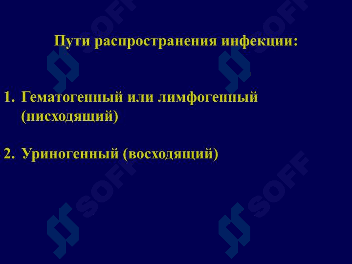 Пиелонефрит 5