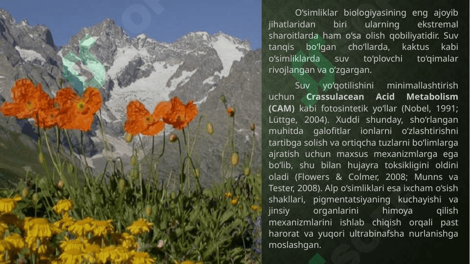 O’simliklarning yangi muhitga moslashuvi 5