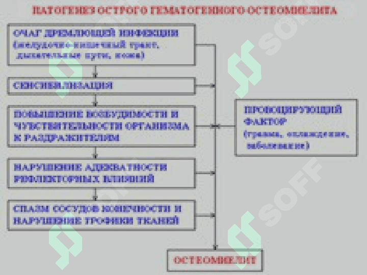 Bolalarda o'tkir gematogen osteomiyelit . Болаларда ўткир гематоген остеомиелит 6