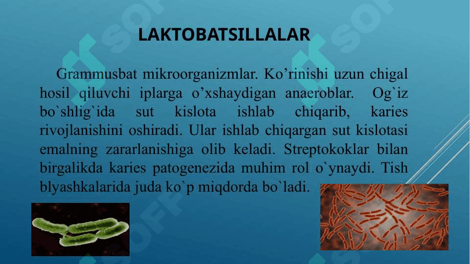 Kariyes kelib chiqishida mikroorganizmlarning ro’li . O’g’iz bo’shlig’ida kariyesogen muhit 8