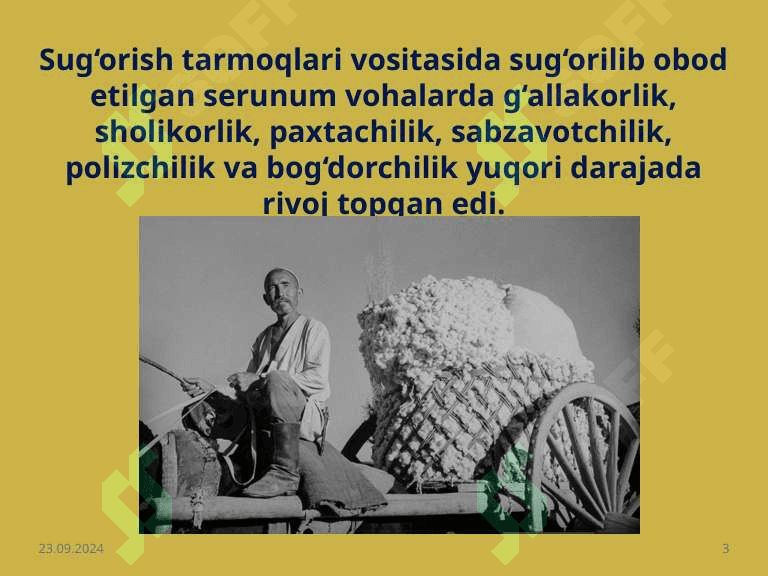 Somoniylar davrida ijtimoiy iqtisodiy hayot. 3