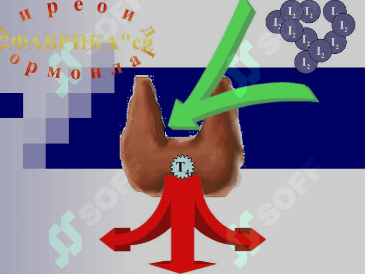 Yod yetishmovchiligi kasalligi 7