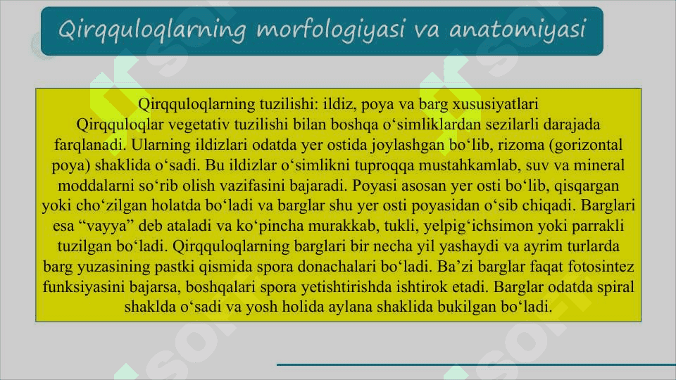 Qirqquloqlar (Polypodiophyta) bo‘limi           QIRQQULOQLAR SLAYD 8