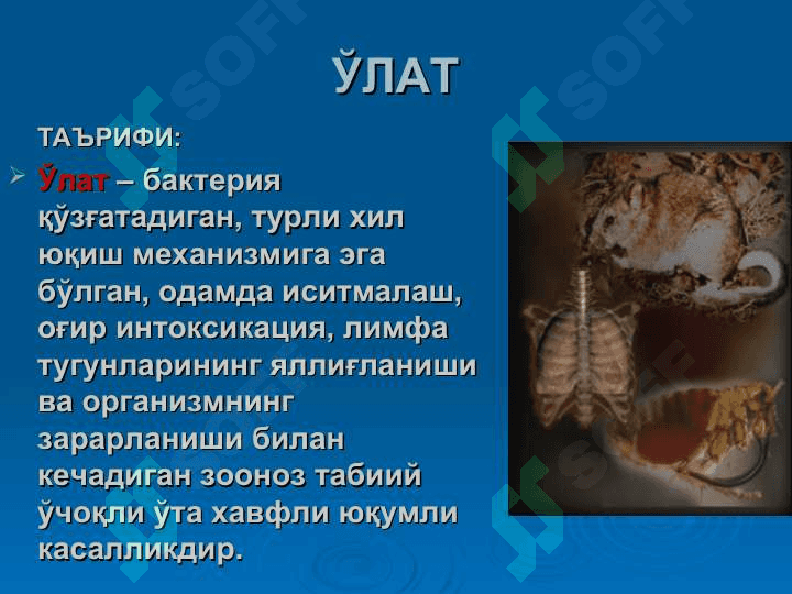 O'lat kassaligi 2