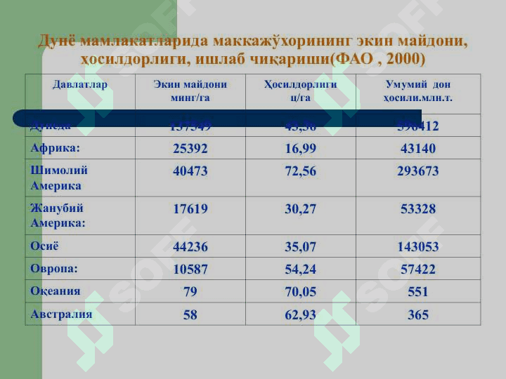 Маккажо'хорида дургай уруг'ликлар етиштириш технологиялари 6