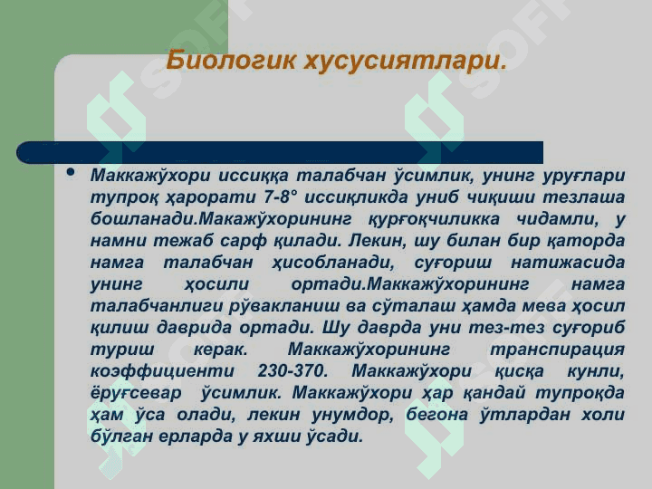 Маккажо'хорида дургай уруг'ликлар етиштириш технологиялари 8