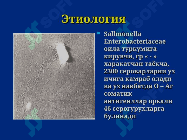 Сальмонеллез. Овкатдан захарланиш. Ботулизм. 5