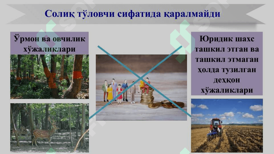 Ягона ер солиғини тўлаш тартибини қўллашнинг ўзига хос хусусиятлари 5
