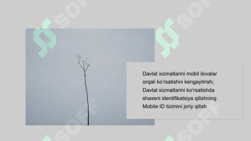 ELEKTRON HUKUMAT TIZIMI LOYIHALARI 3