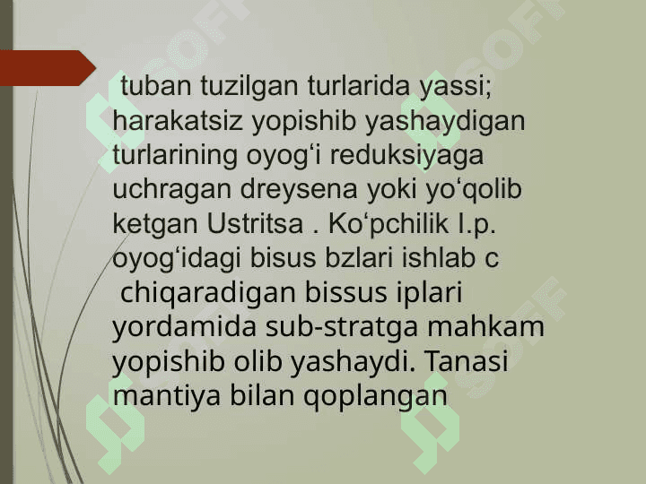 Ikki pallali malyuskalar tuzulishu ko’payishi rivojlanishi sistematikasi va ahamyati 4