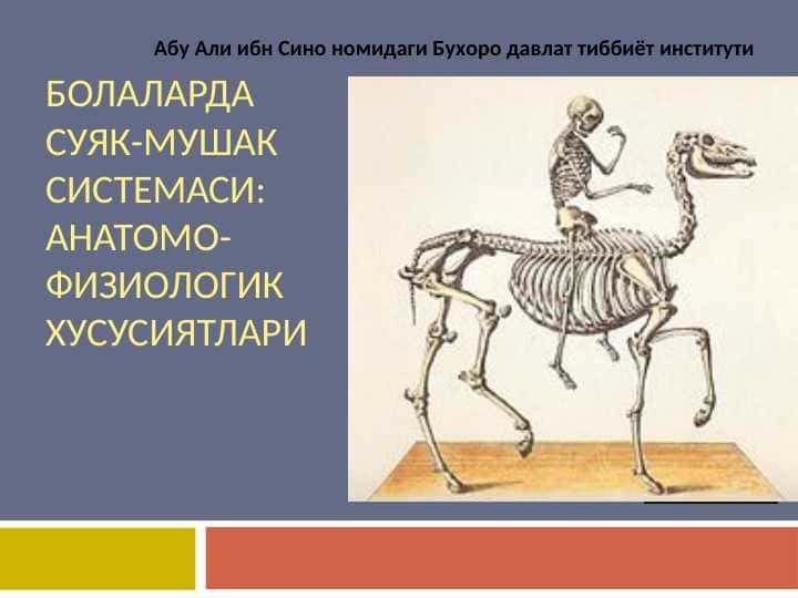 БОЛАЛАРДА СУЯК-МУШАК  СИСТЕМАСИ: АНАТОМО-ФИЗИОЛОГИК ХУСУСИЯТЛАРИ