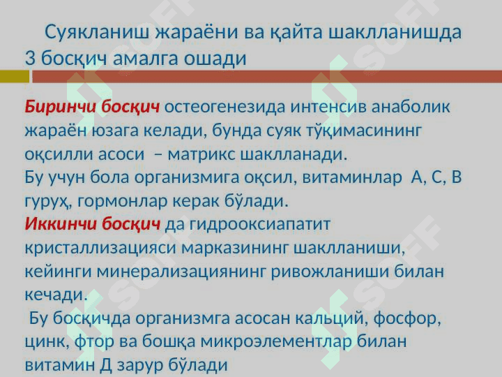 БОЛАЛАРДА СУЯК-МУШАК  СИСТЕМАСИ: АНАТОМО-ФИЗИОЛОГИК ХУСУСИЯТЛАРИ 5
