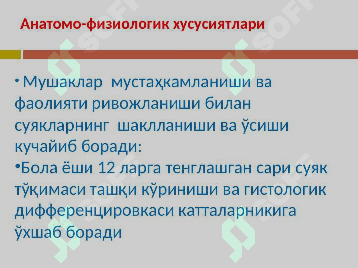 БОЛАЛАРДА СУЯК-МУШАК  СИСТЕМАСИ: АНАТОМО-ФИЗИОЛОГИК ХУСУСИЯТЛАРИ 8