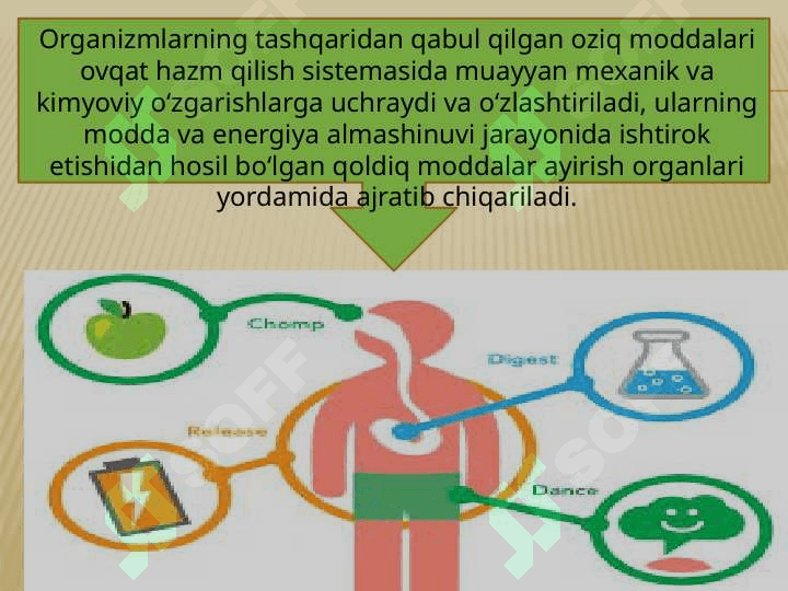 HAYVONLARNING AYIRISH ORGANLARI EVOLUTSIYASI 2