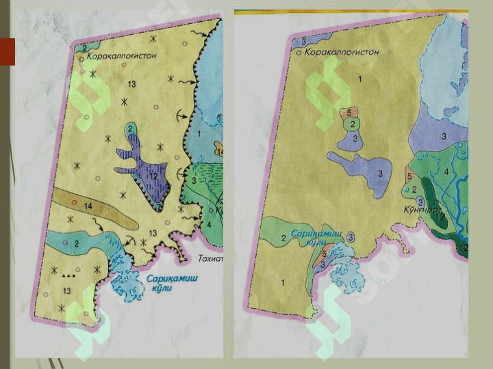 Ustyurt platosining tabiiy geografik va geoekologik sharoiti 4