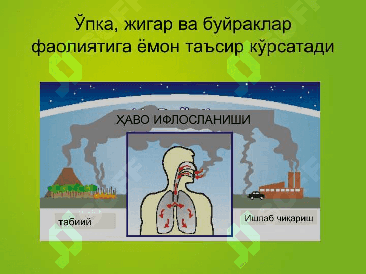 Ифлосланишлар ва уларнинг атроф-муҳитга таъсири 8