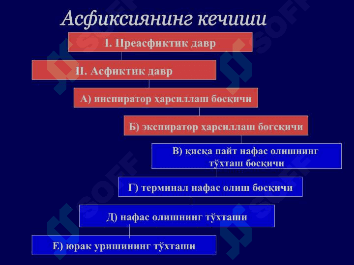 Механик асфиксия 5