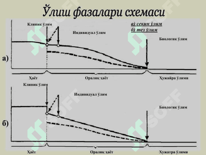 Суд-тиббий танатология 6