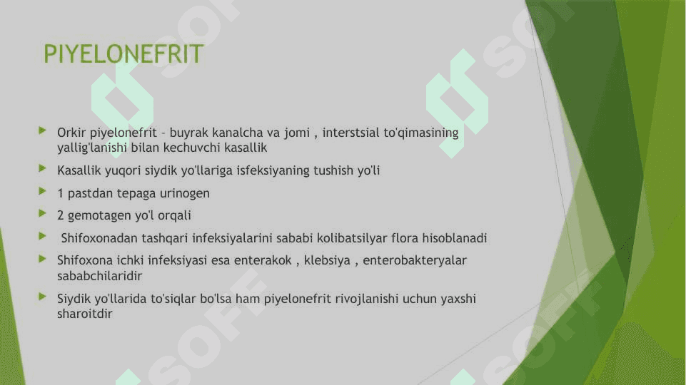HOMILADORLARDA PIYELONEFRIT 2
