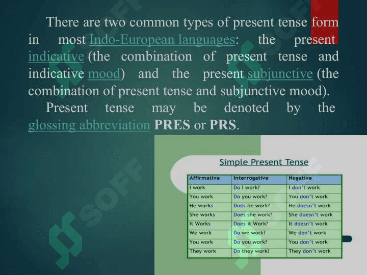 THE PRESENT SIMPLE TENSE 3