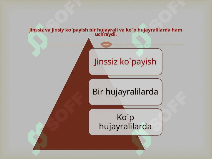 JINSSIZ KO'PAYISHLAR TURLARI 3