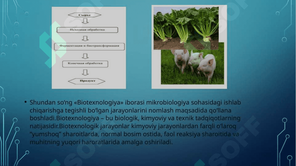 Farmatsevtik biotexnologiya 4
