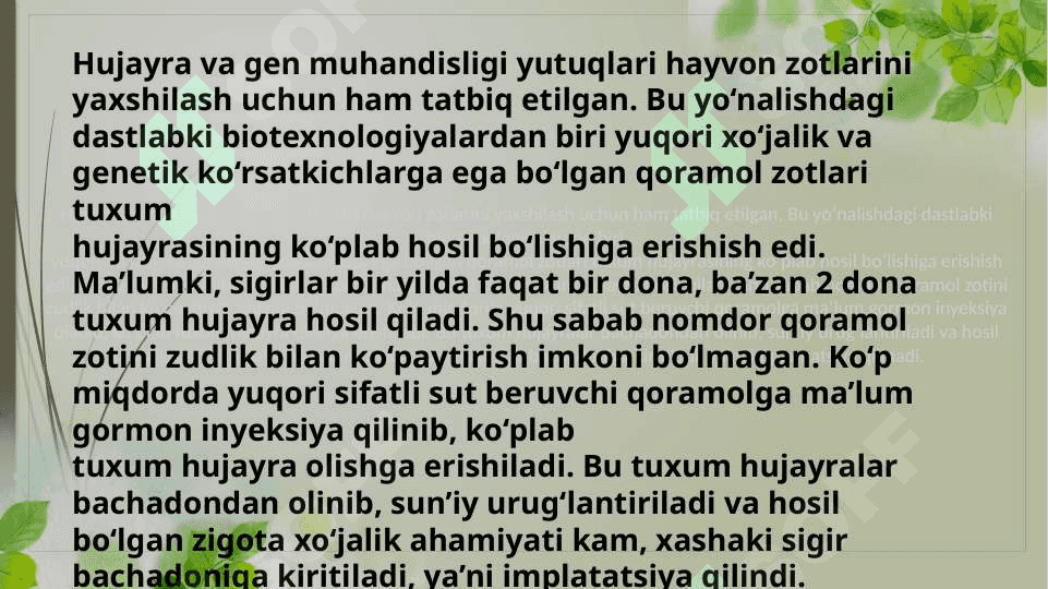 Hayvonlar hujayrasi muhandisligi 3