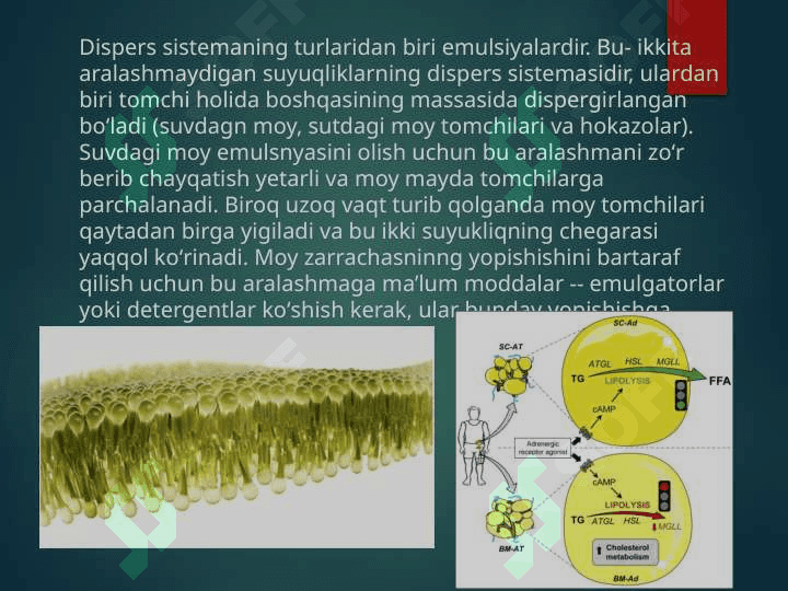 Lipidlar almashinuvi. Lipidlarning katabolizmi. Lipaza, fosfolipaza kabi lipolitik fermentlar. Yog’lar emulsiyasi, o’t pufagidagi safro kislotalarining roli 5