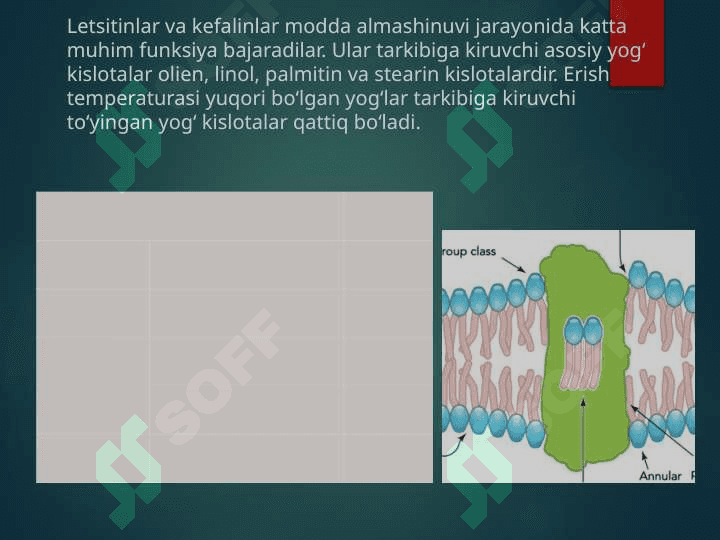 Lipidlar almashinuvi. Lipidlarning katabolizmi. Lipaza, fosfolipaza kabi lipolitik fermentlar. Yog’lar emulsiyasi, o’t pufagidagi safro kislotalarining roli 8